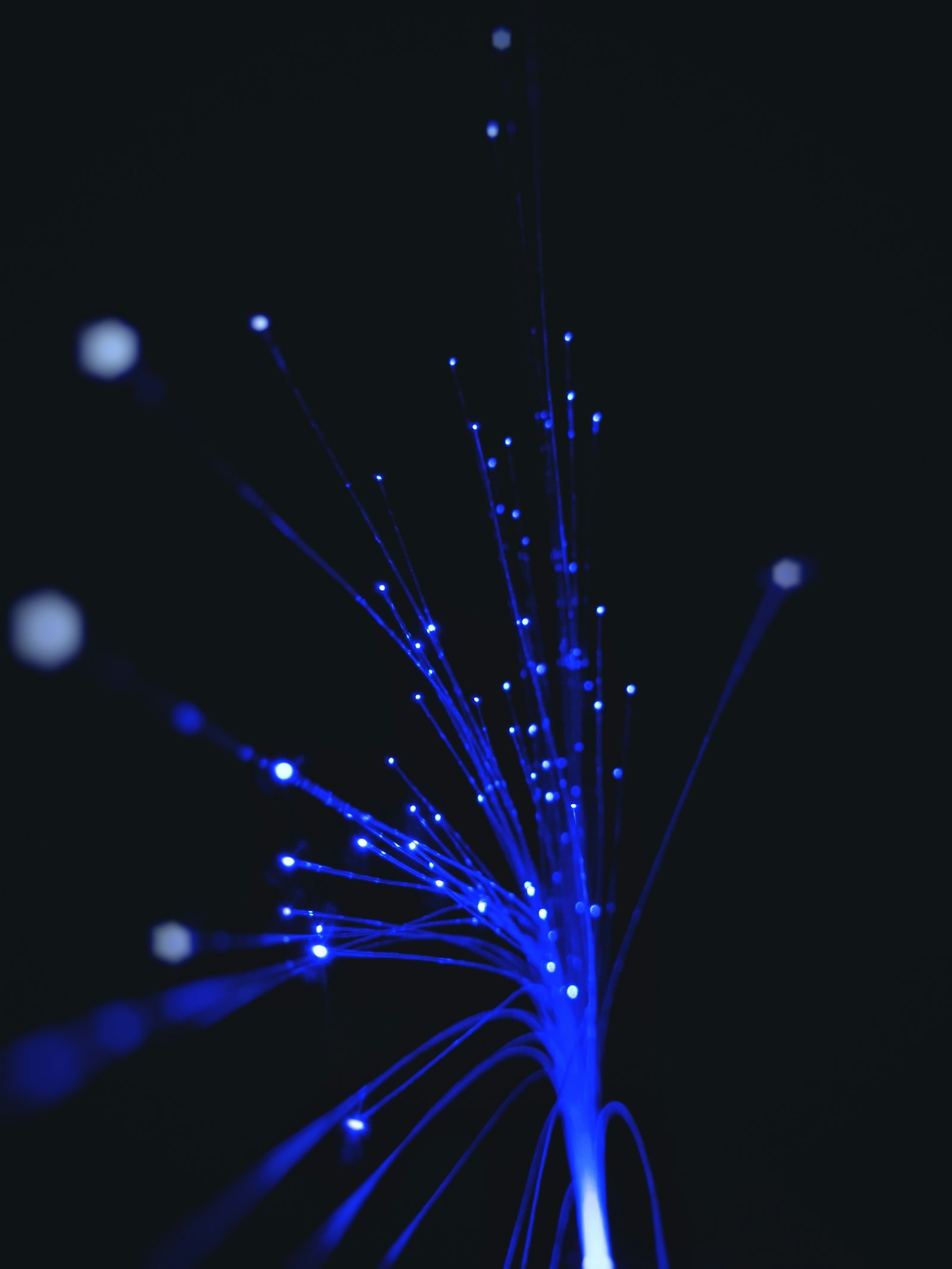 Many individual glowing fiber-optic strands converging to a single point in the dark